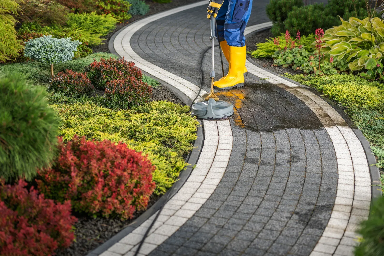Rotary surface cleaner restoring a curved paver garden path — pressure washing by AquaFly Exterior Cleaning in Forney, TX